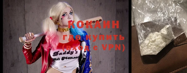 PSILOCYBIN Бородино
