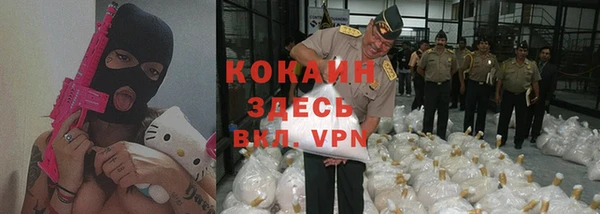 гидра Бронницы