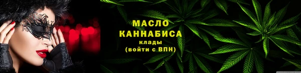 гидра Бронницы