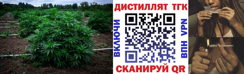 ТГК жижа  Купить где  Сасово 